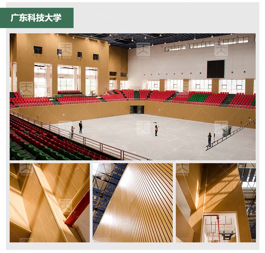 文化藝術中心槽木吸音板體育館工程案例