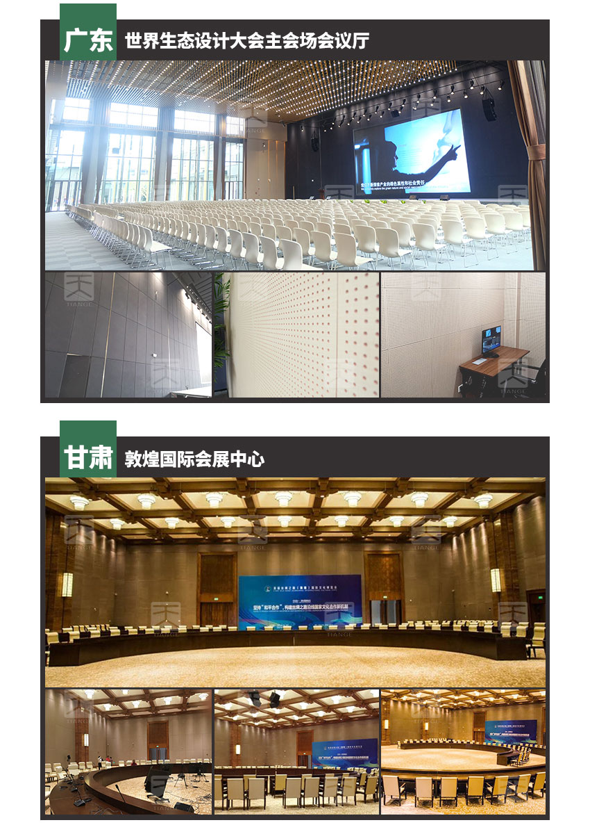 會議室穿孔木質(zhì)吸音板工程案例