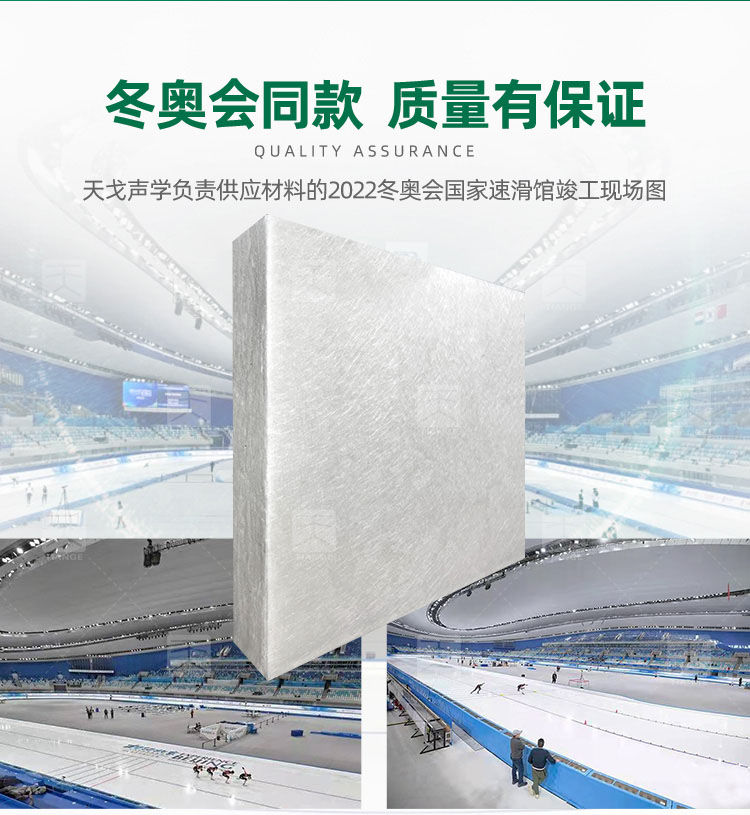 冬奧會場館同款環保無甲醛憎水吸聲體