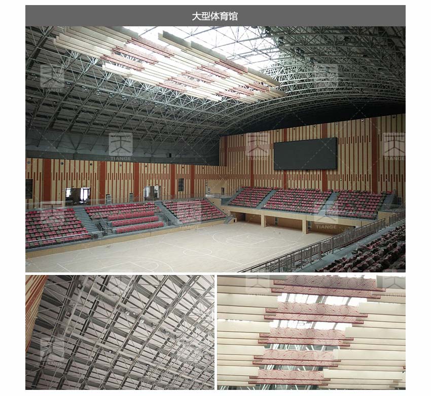 體育館空間吸聲體工程案例-2 體育館空間吸聲體工程案例-2