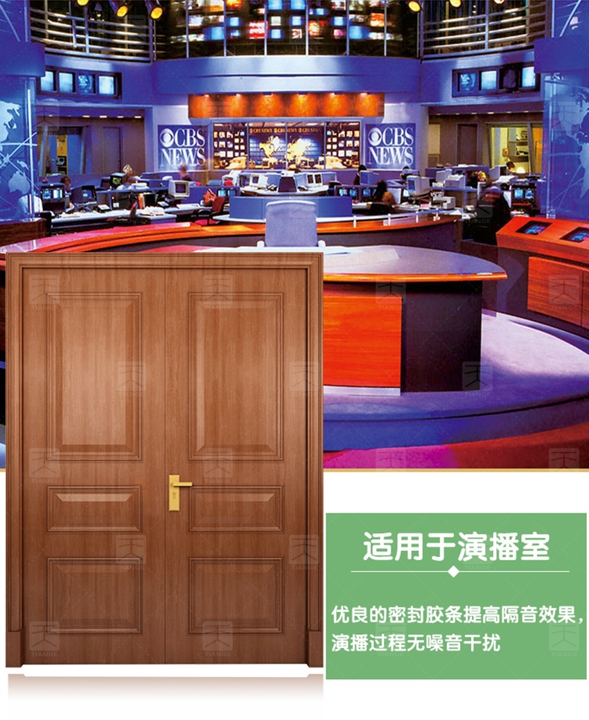 鋼質(zhì)木紋隔音門-9