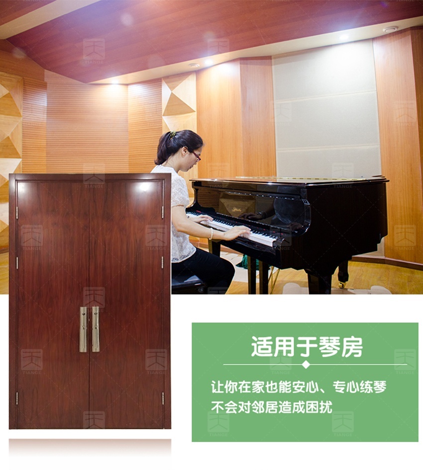 鋼質(zhì)木紋隔音門-13