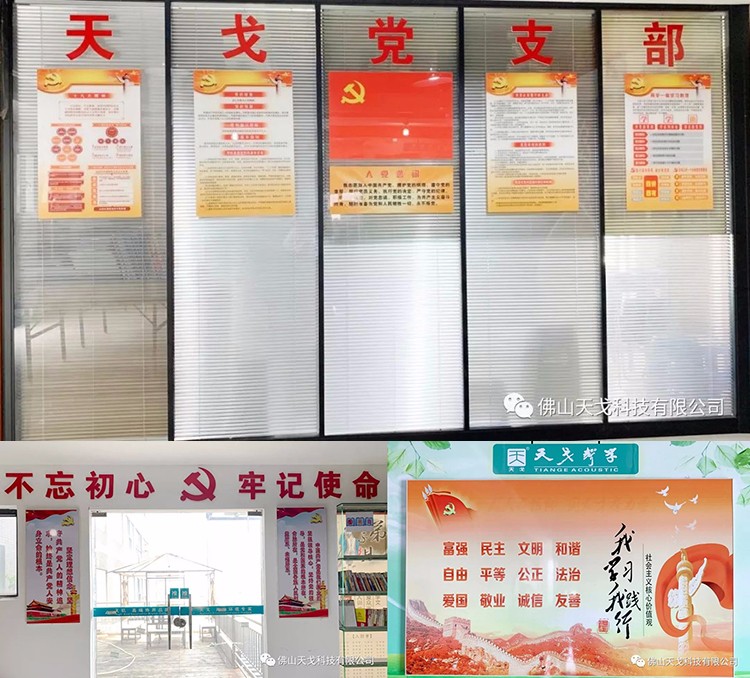 建黨節(jié)特輯，天戈聲學(xué)黨支部舉辦7月黨建日活動