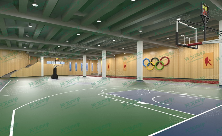 湖南長沙財經(jīng)學(xué)院體育館聲學(xué)設(shè)計工程