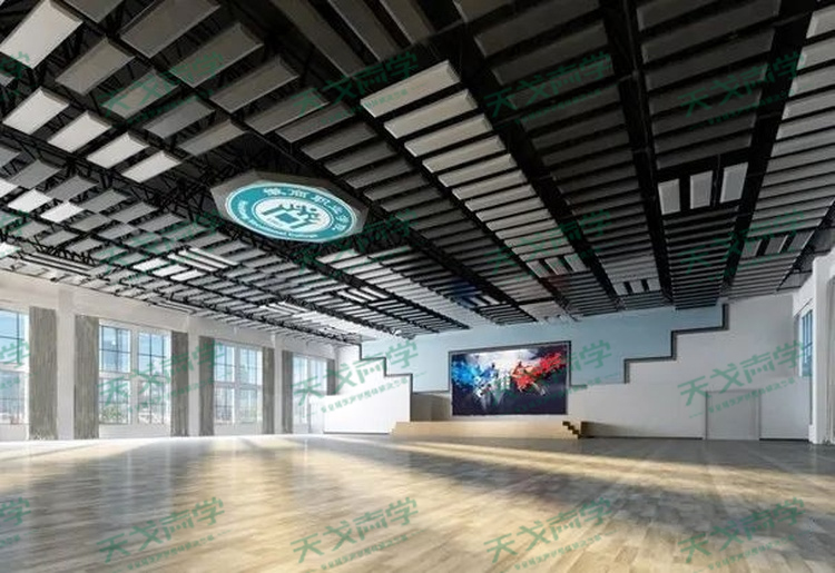 安徽徽商職業(yè)技術(shù)學(xué)院藝體中心聲學(xué)設(shè)計(jì)工程